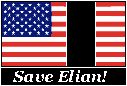 Save Elian!